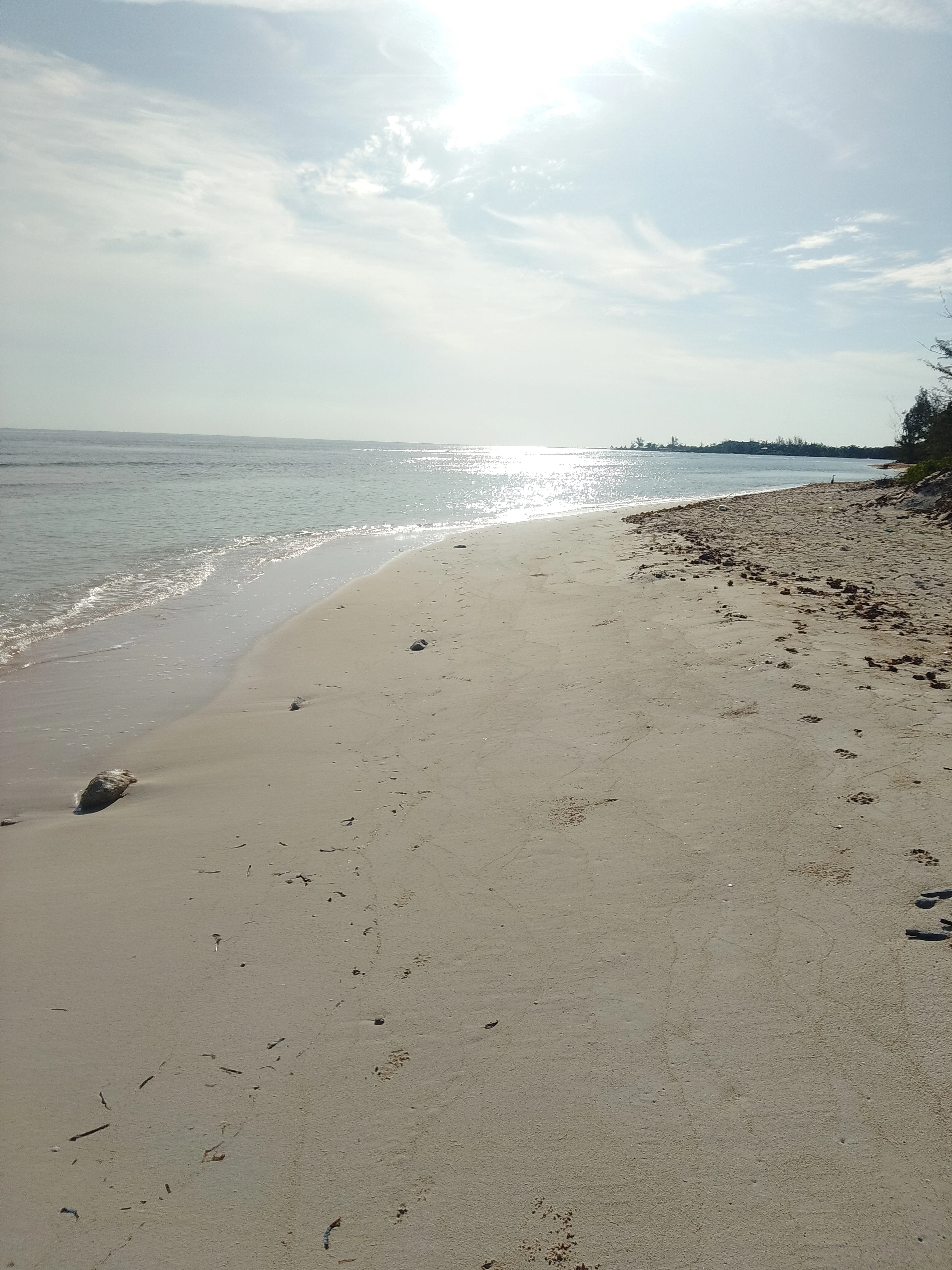 Tranquil Caribbean Sea Trail
