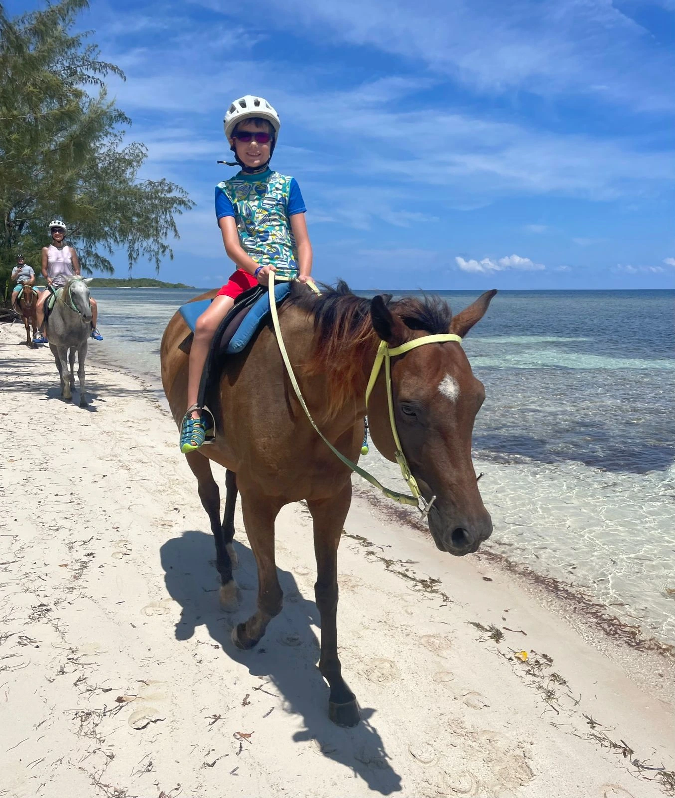 Sand n Saddle Deep Sea Bareback Swim